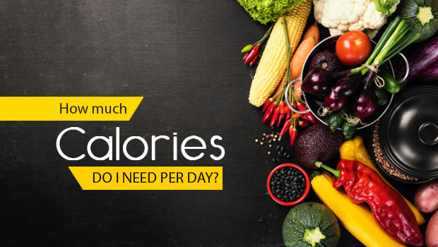 calories required per day