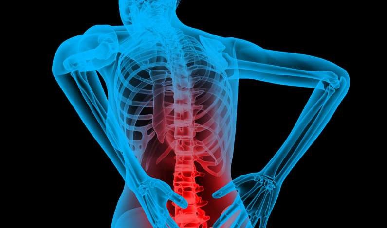 An Insight Into the Causes, Symptoms and Herbal Treatment for Back Pain