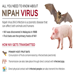 निपाह वायरस