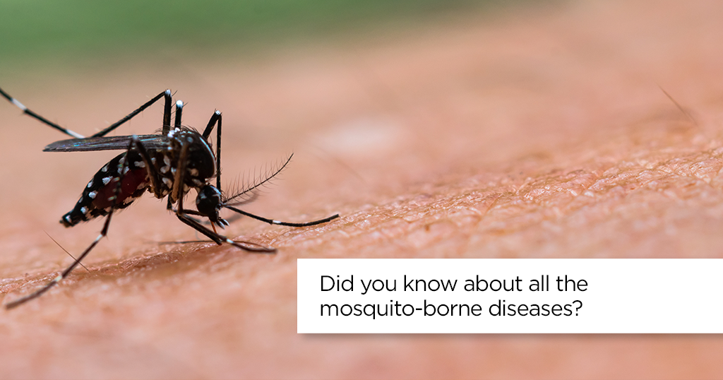 mosquito-borne diseases