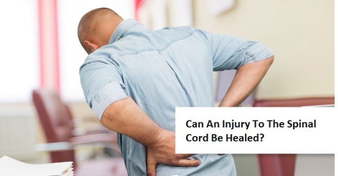 Can An Injury To The Spinal Cord Be Healed