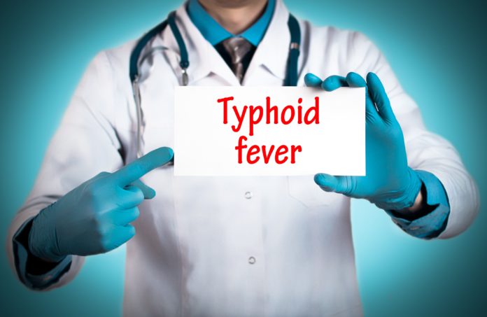 What Part Of The Body Does Typhoid Fever Attack