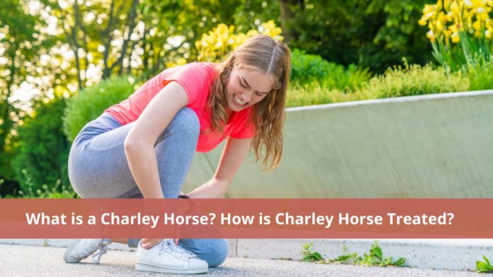 Charley Horse