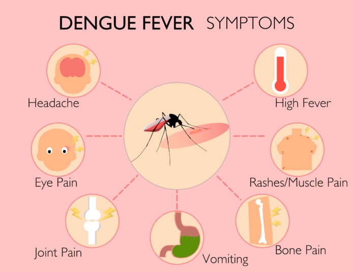 Dengue Symptoms, Causes & Preventions