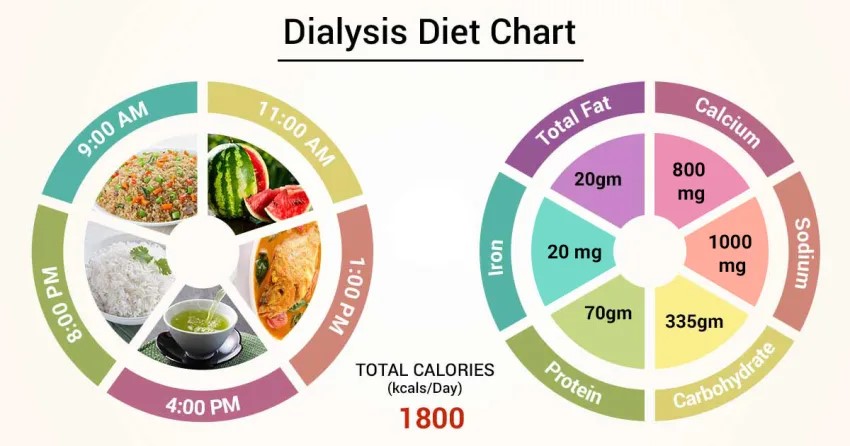 Diet For Kidney And Dialysis Patients - Diet Chart, Food To Eat And Avoid