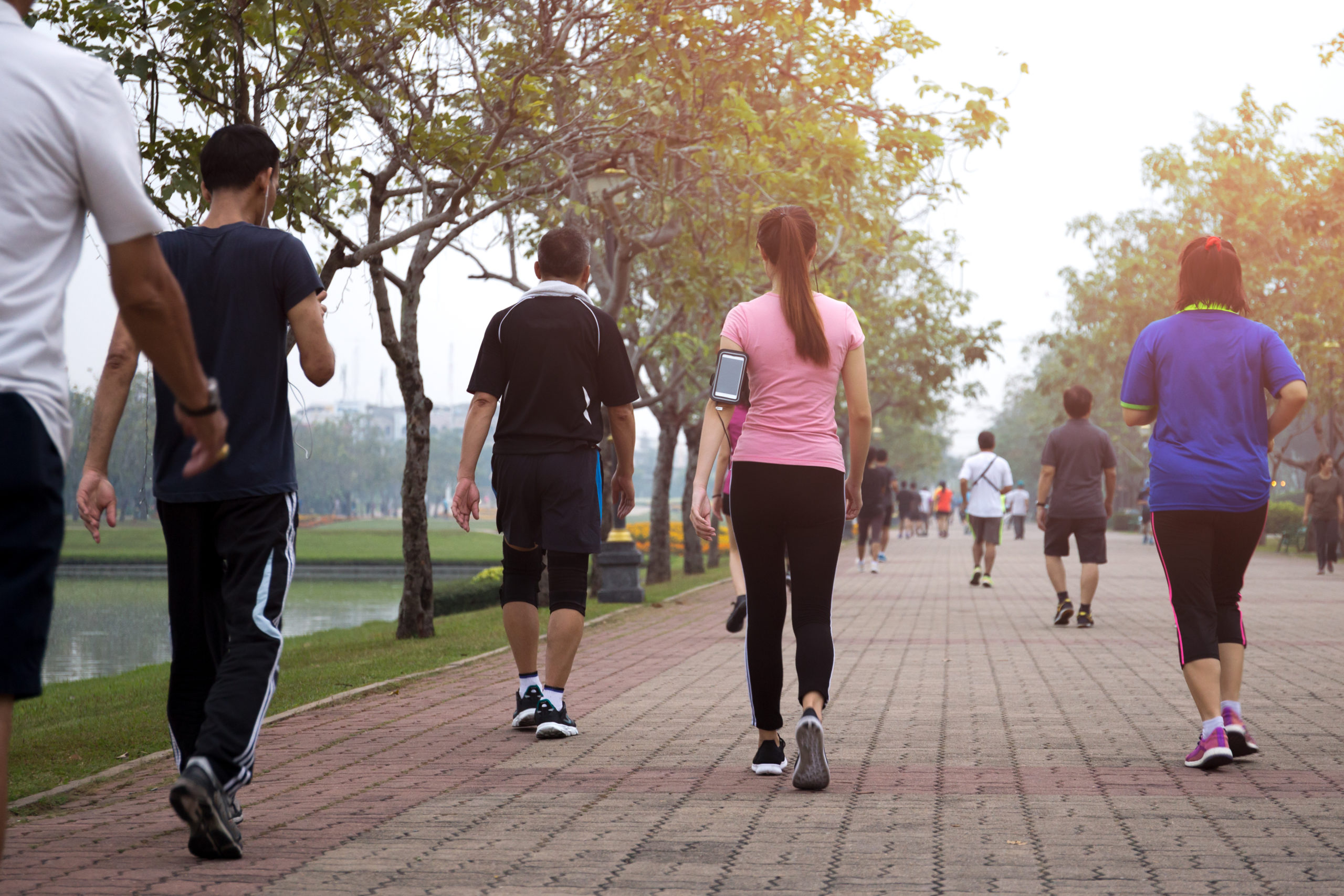 Gå glip af Ellers vitamin Walking: A More Potent Exercise than We Think - Apollo Hospitals Blog