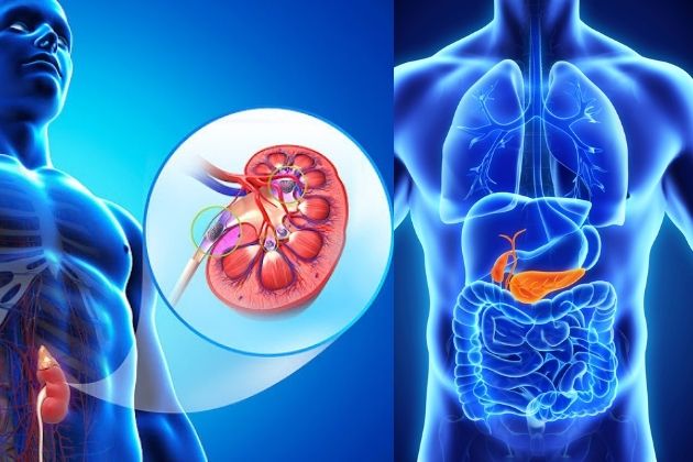 Gallbladder and Kidney Stones