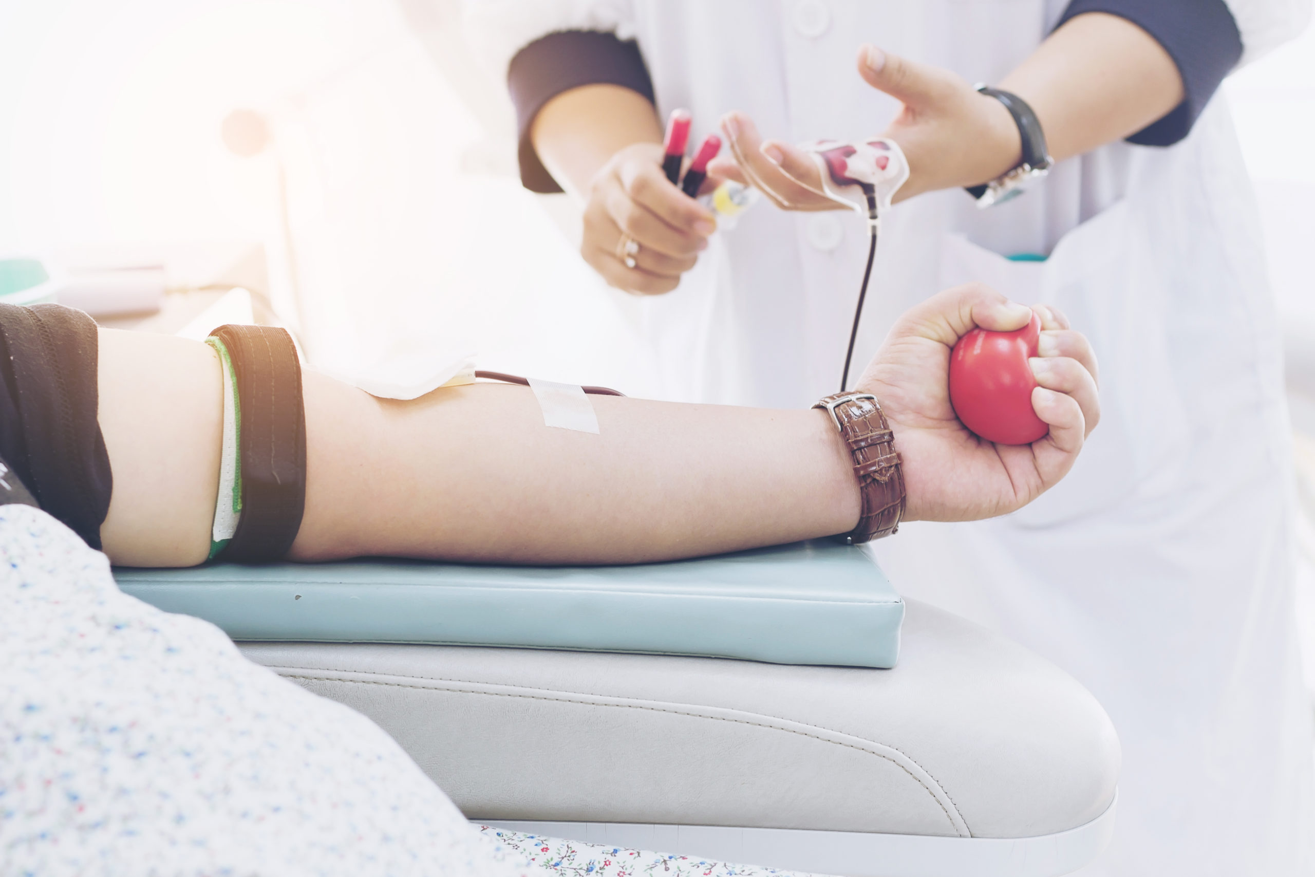 Blood Donation - All You Need To Know - Aollo Hospital Blog