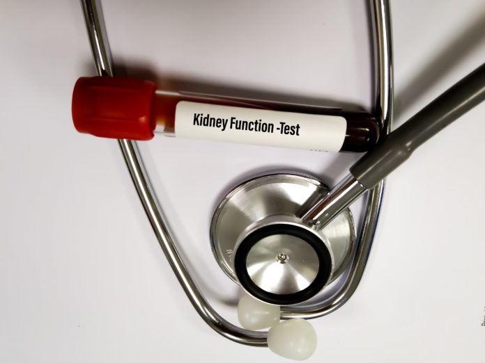 Kidney function tests (KFT)