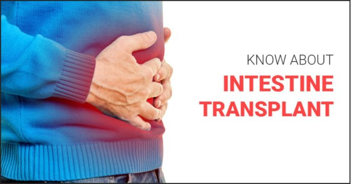 Intestine Transplant