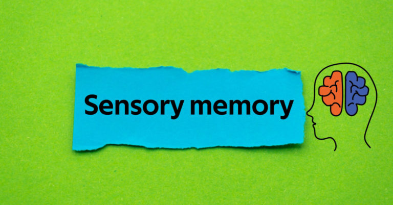 Sensory Memory: Types and What it is? - Apollo Hospitals Blog